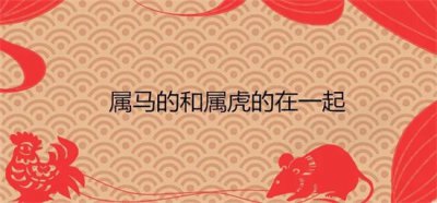 ​男马女虎适合做夫妻吗