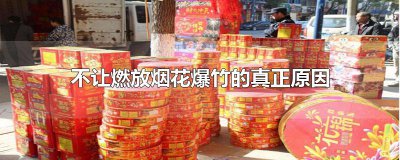 ​不让燃放烟花爆竹的真正原因